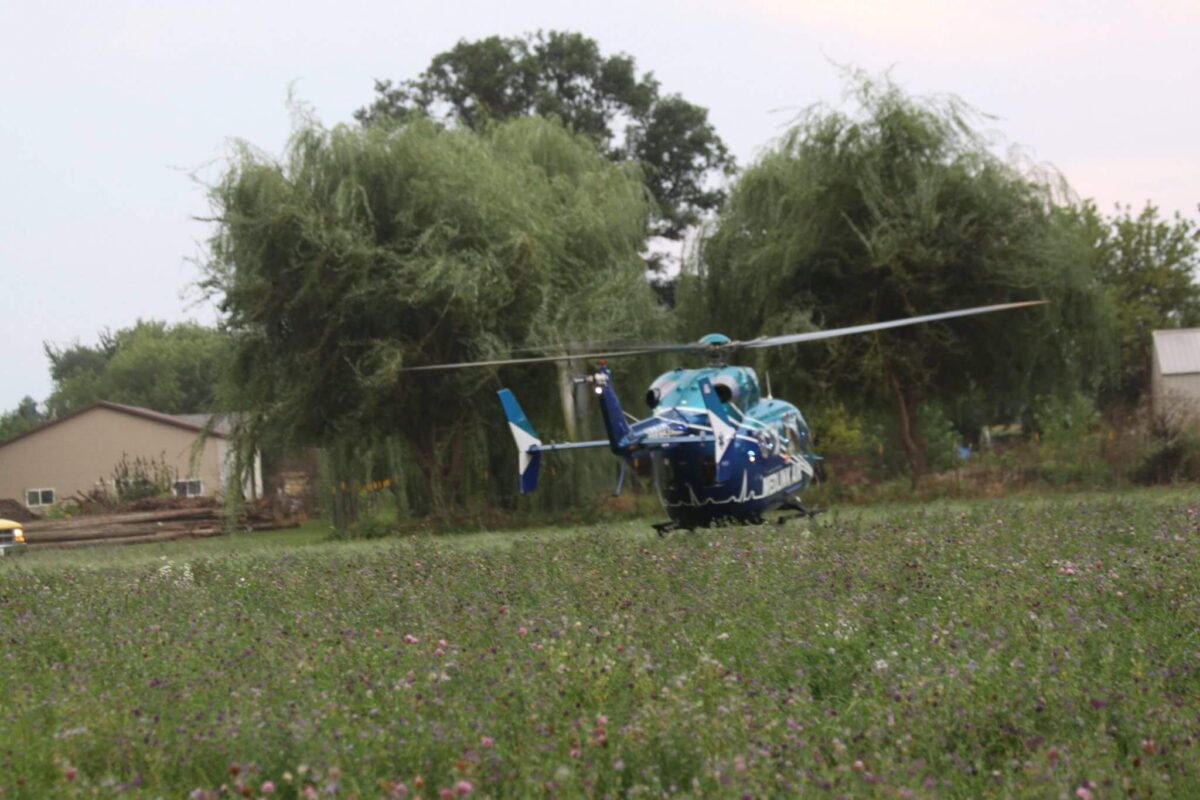 A blue and white helicopter is landing in an open field with wildflowers. Two weeping willow trees and a small house are visible in the background. The sky is overcast.